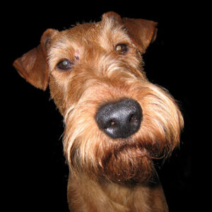 Special product(variants)